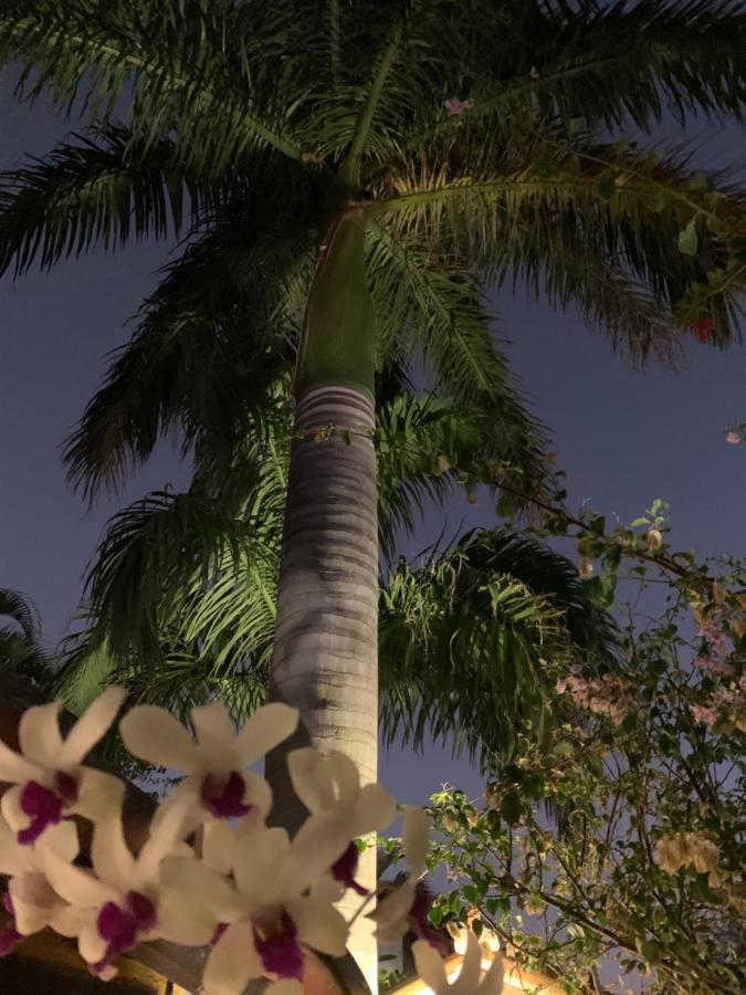 Villa Lulu Maison Búzios 外观 照片